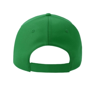 Casquette " Vert dans le SANG "