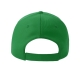 Casquette " Vert dans le SANG "